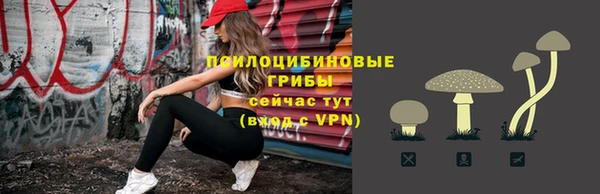 a pvp Белокуриха