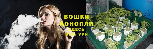a pvp Белокуриха