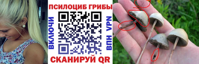 Галлюциногенные грибы Magic Shrooms  это состав  Высоковск 